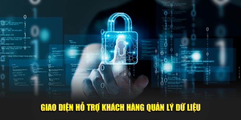 Giao diện hỗ trợ khách hàng quản lý dữ liệu