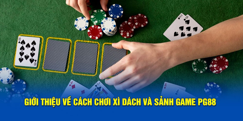 Giới thiệu về cách chơi xì dách và sảnh game PG88